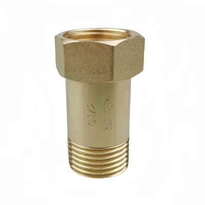 Valvola di ritegno singola